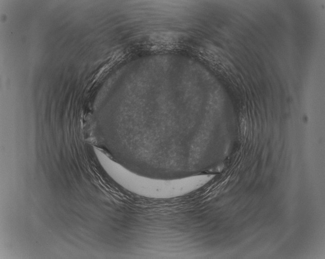 X0000066511250200604071518