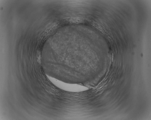 X0000066511251200604071518