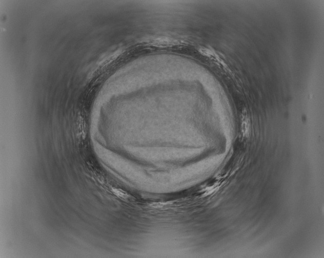 X0000066511253200604071518