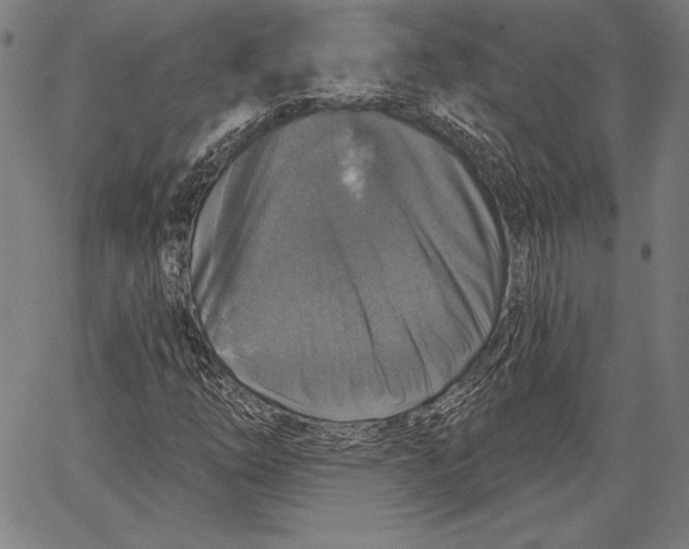 X0000066511254200604071518