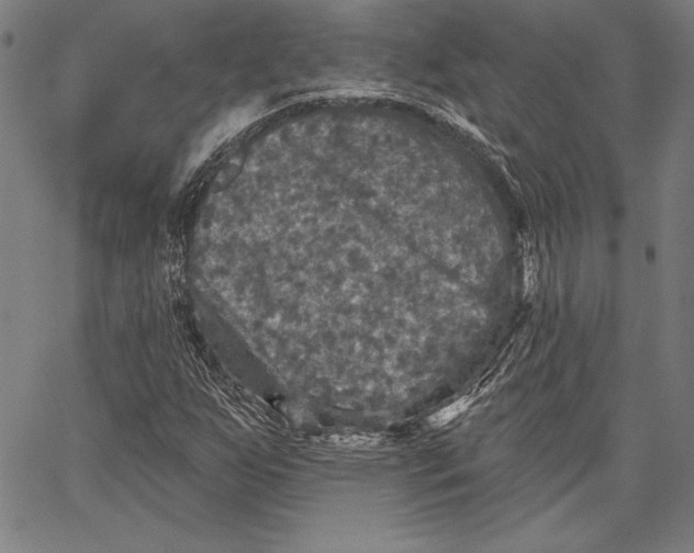 X0000066511255200604071518