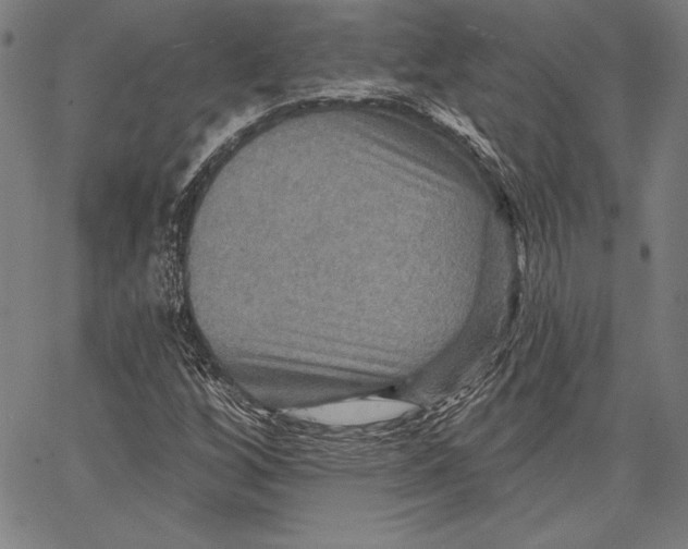 X0000066511256200604071518