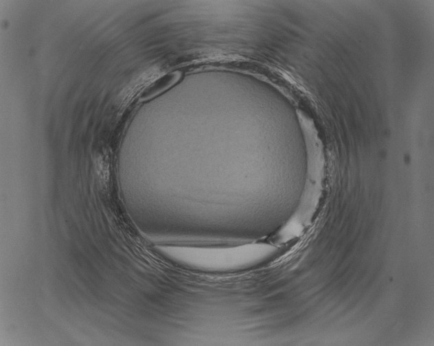 X0000066511257200604071518