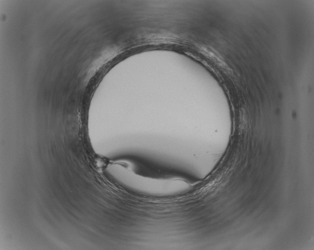 X0000066511261200604071518