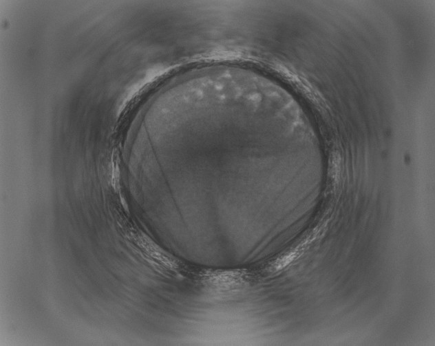 X0000066511262200604071518