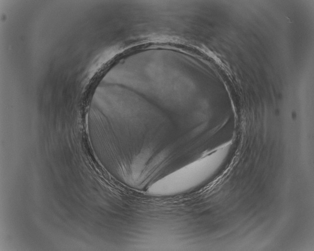 X0000066511263200604071518