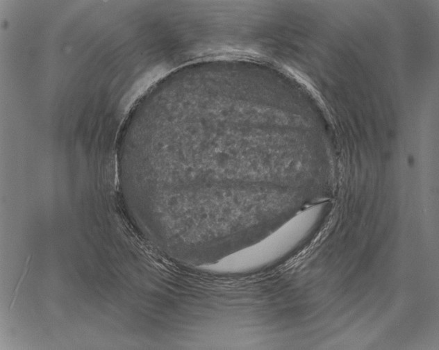 X0000066511267200604071518