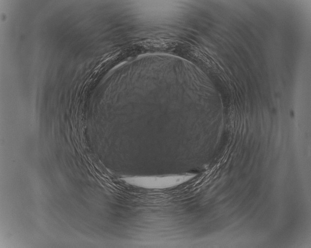 X0000066511297200604071517