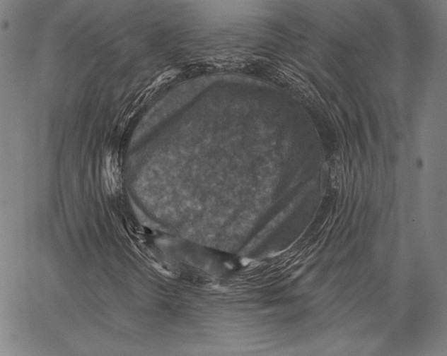 X0000066511298200604071517