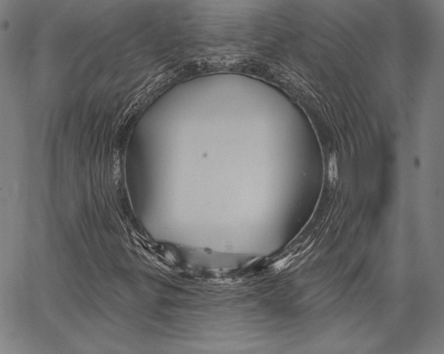 X0000066511299200604071517