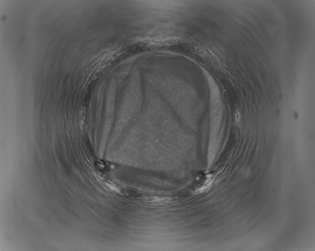 X0000066511300200604071517