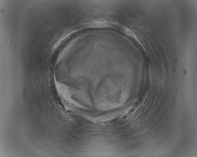 X0000066511304200604071517