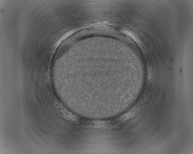 X0000066511308200604071517