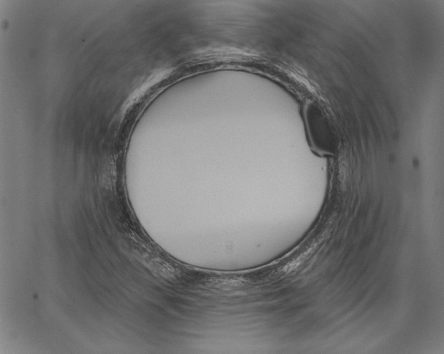 X0000066511309200604071517