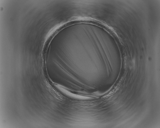 X0000066511319200604071517
