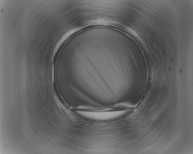 X0000066511323200604071517