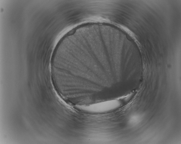 X0000066511335200604071517