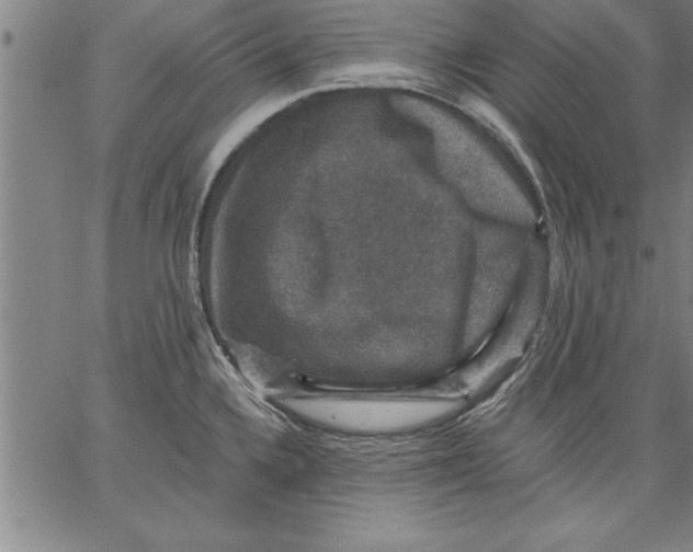 X0000066511336200604071517