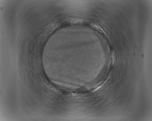 X0000066511345200604071517