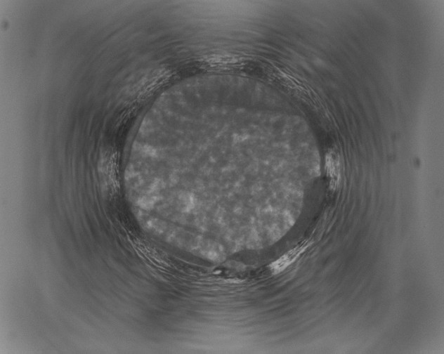 X0000066511346200604071517
