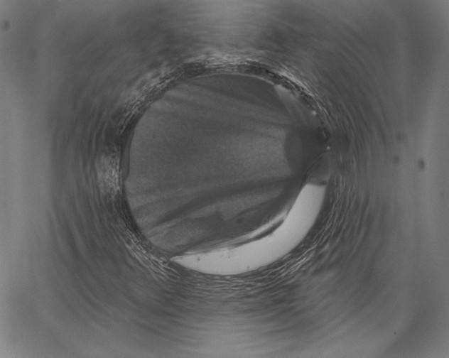 X0000066511348200604071517