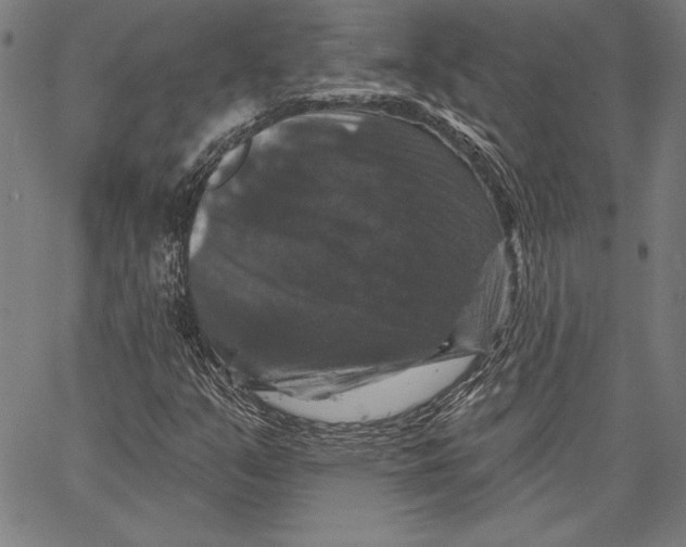 X0000066511351200604071517