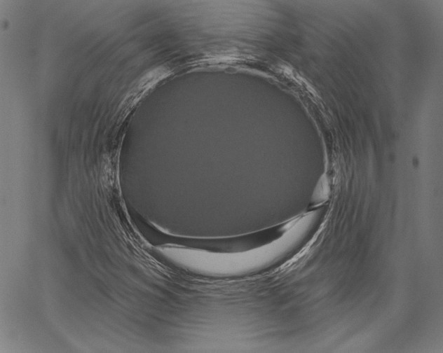 X0000066511353200604071517