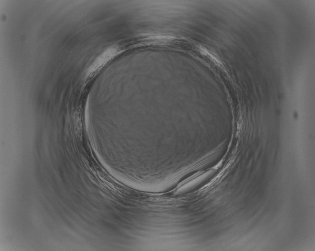 X0000066511354200604071517