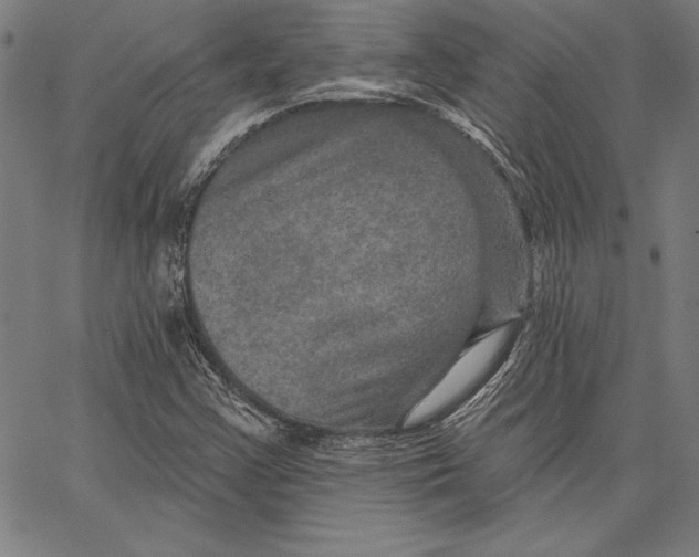 X0000066511355200604071517