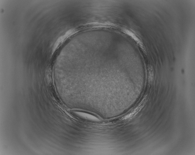 X0000066511357200604071516
