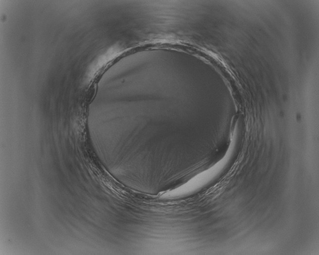 X0000066511359200604071516