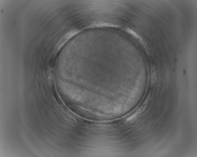 X0000066511361200604071516