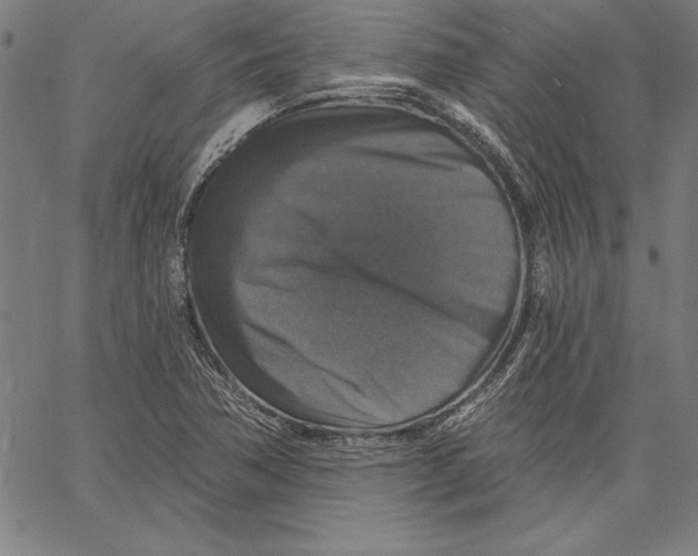 X0000066511362200604071516