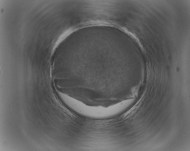X0000066511365200604071516