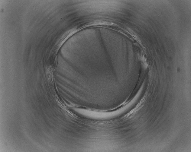 X0000066511369200604071516