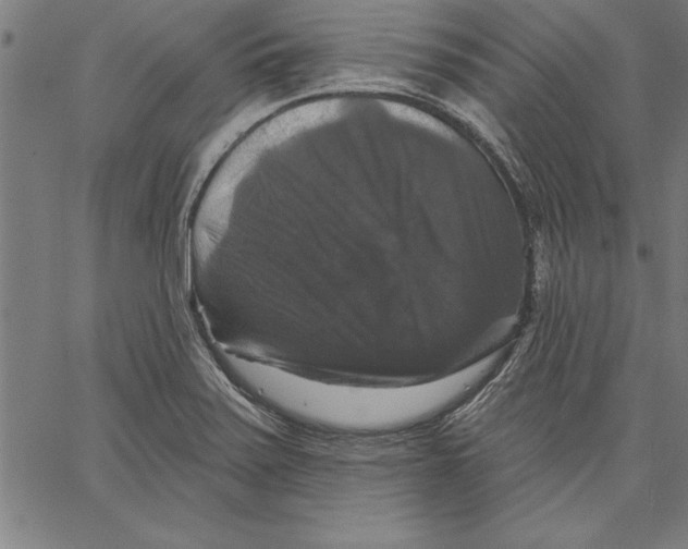 X0000066511371200604071516
