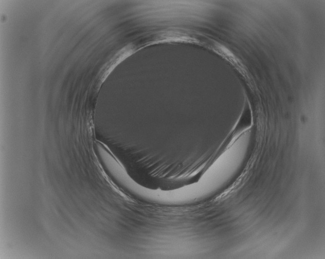 X0000066511377200604071516