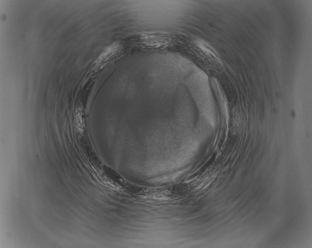 X0000066511394200604071515