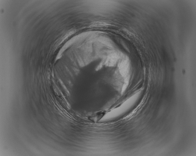 X0000066511401200604071515