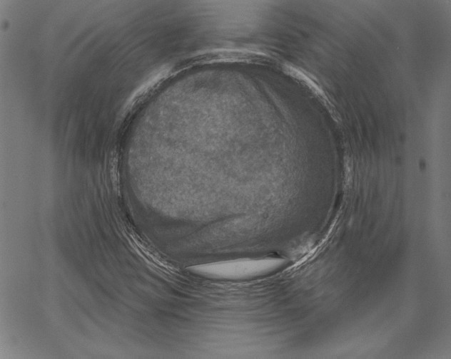 X0000066511403200604071515