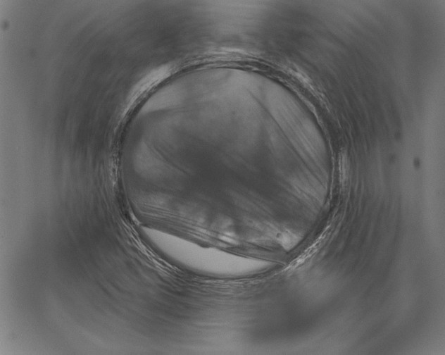 X0000066511405200604071515