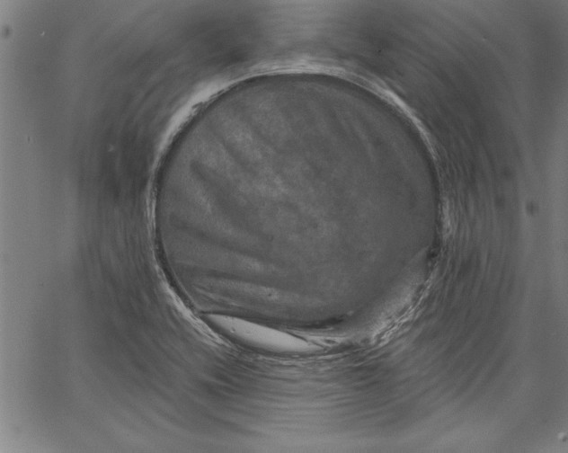 X0000066511416200604071516