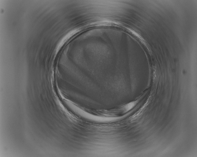 X0000066511418200604071516