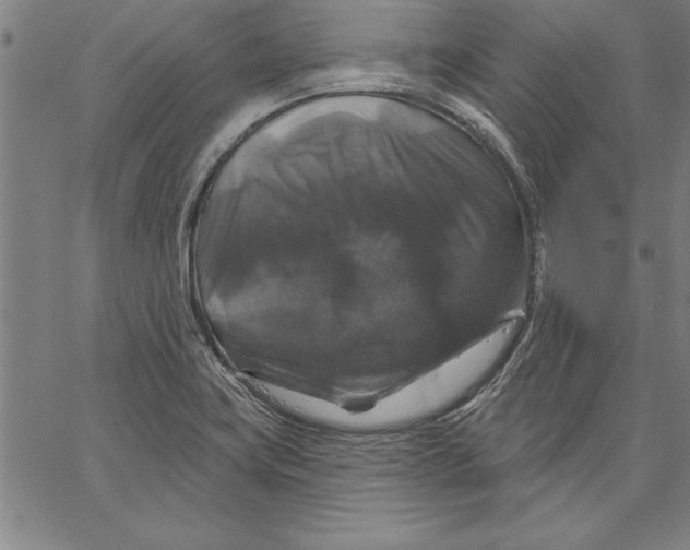 X0000066511419200604071516
