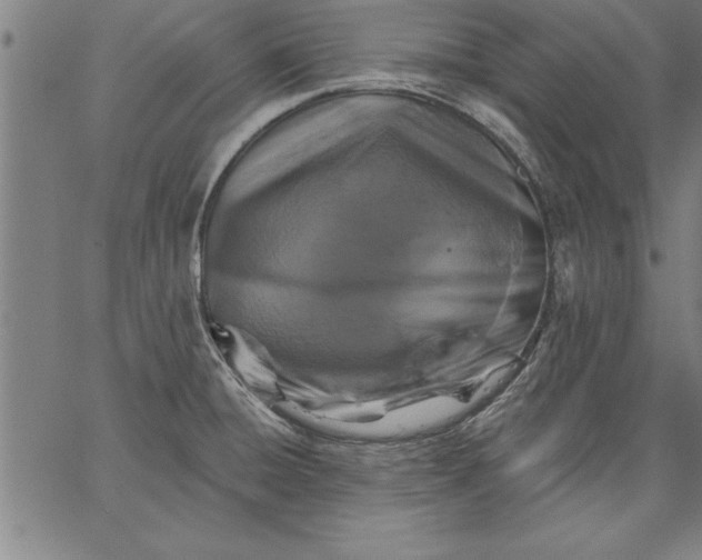 X0000066511428200604071516