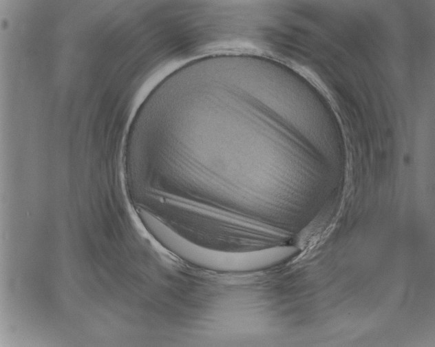 X0000066511440200604071516