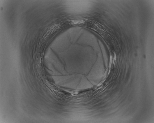 X0000066511441200604071515