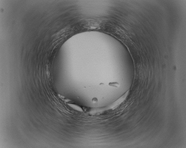 X0000066511442200604071515