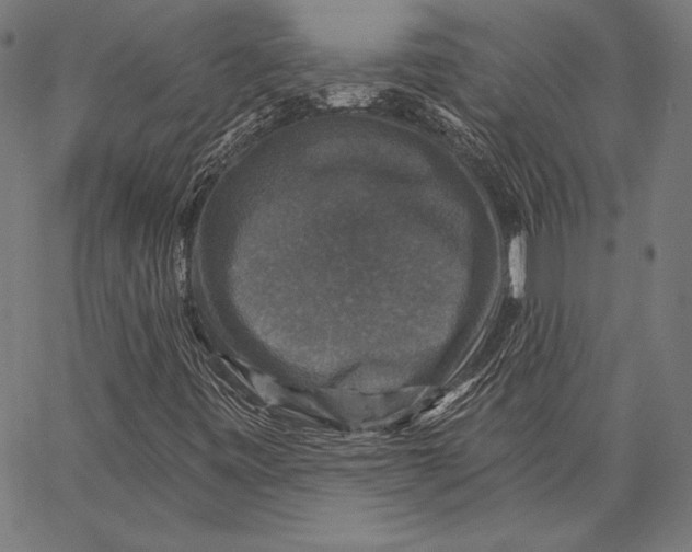 X0000066511443200604071515