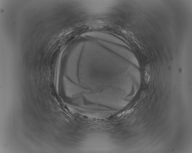 X0000066511445200604071515